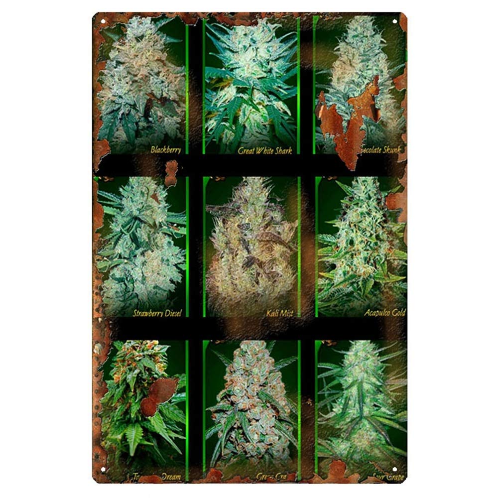 油絵 麻 大麻 マリファナ バッヅ  marijuana 値下げ 油絵 麻 大麻 マリファナ バッヅ marijuana 値下げ（Big Bud
